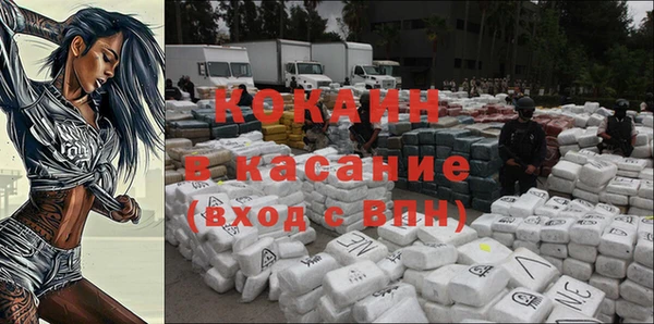 кокс Алексин