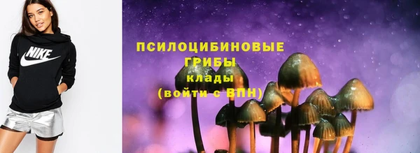 индика Алексеевка