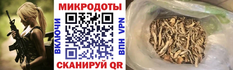 Галлюциногенные грибы Cubensis Миасс
