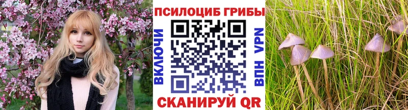 Псилоцибиновые грибы Magic Shrooms  Миасс 