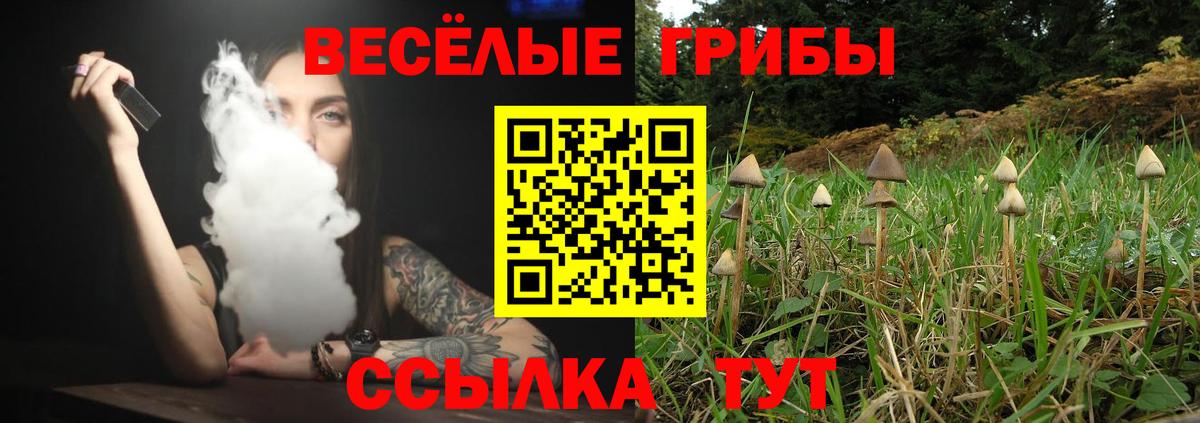 Галлюциногенные грибы ЛСД  Галлюциногенные грибы ЛСД  Миасс  Вход с VPN 